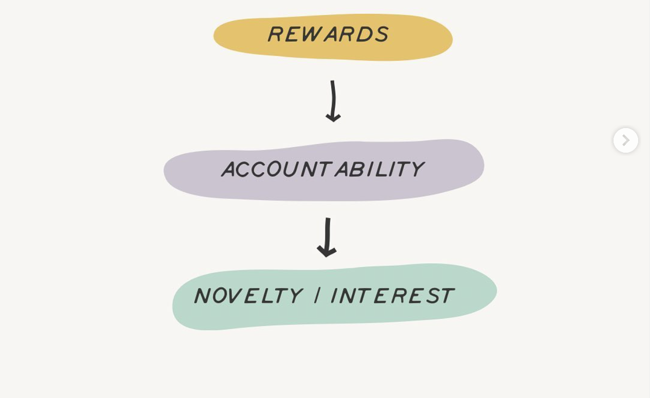 A clipped graphic that shows the words "rewards, accountability, novelty/interest" from the original Twitter thread.